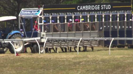 View video › View video ›