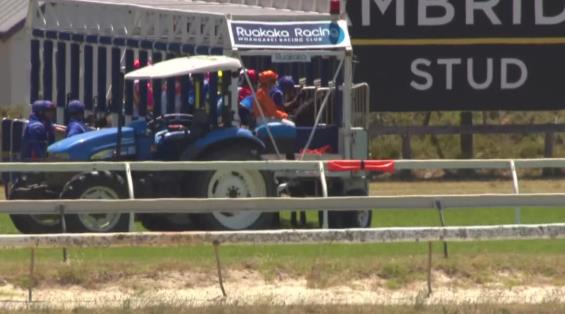 View video › View video ›