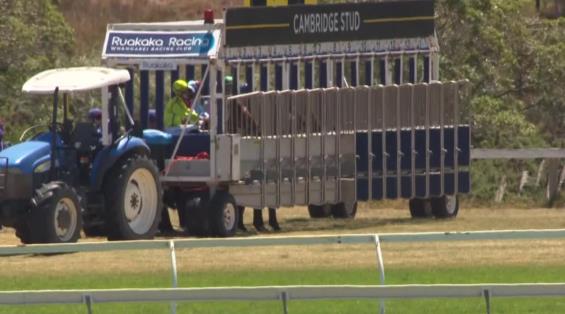 View video › View video ›