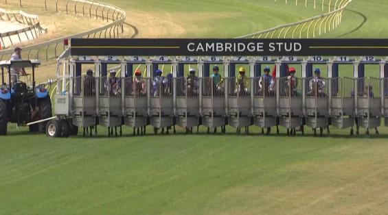 View video › View video ›