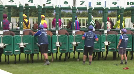 View video › View video ›