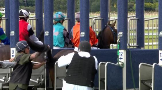 View video › View video ›