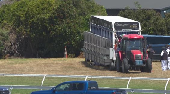 View video › View video ›