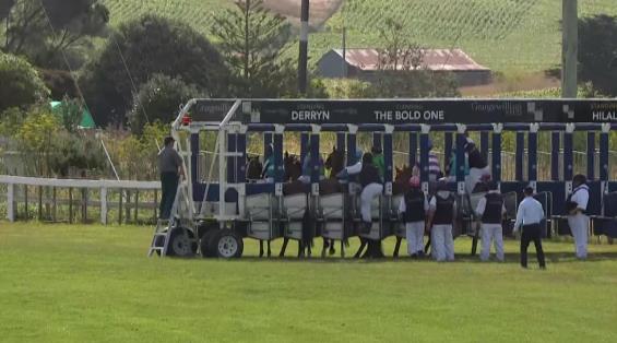 View video › View video ›