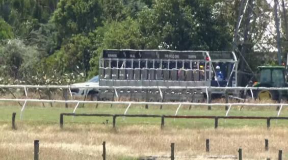 View video › View video ›