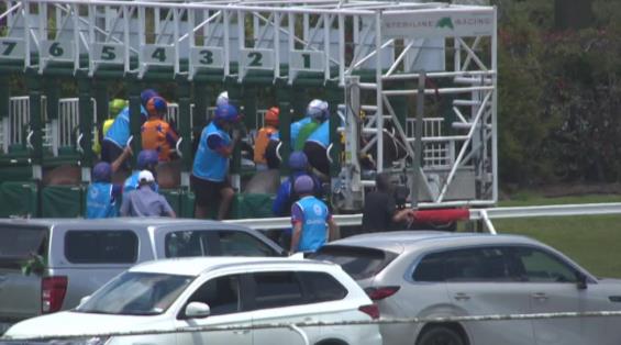 View video › View video ›