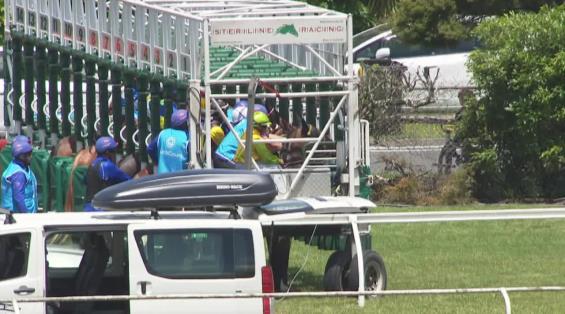 View video › View video ›