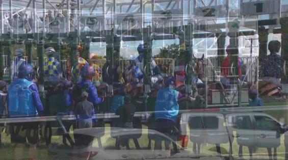 View video › View video ›