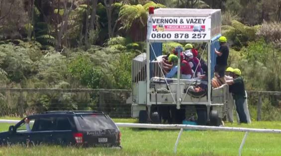 View video › View video ›