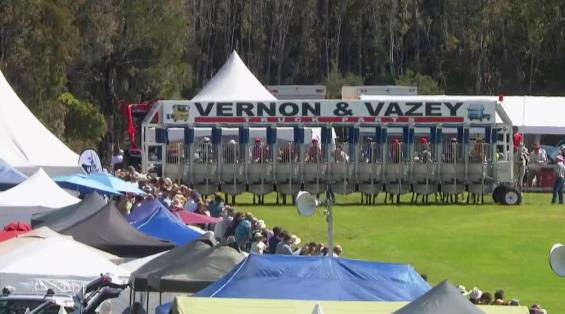 View video › View video ›