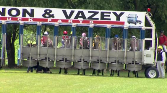 View video › View video ›