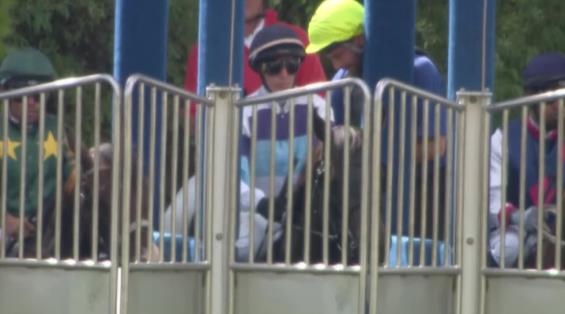 View video › View video ›