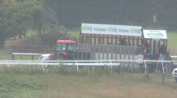 View video › View video ›