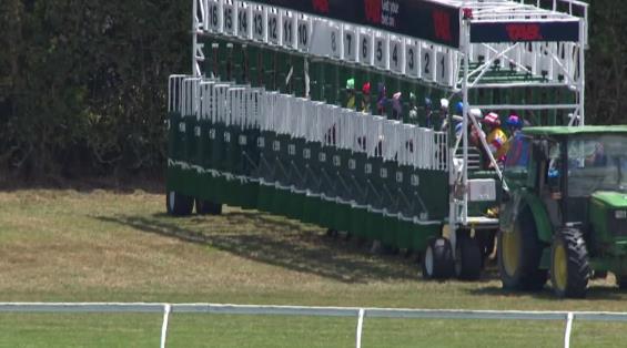 View video › View video ›