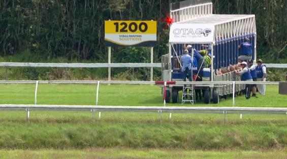 View video › View video ›