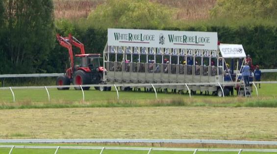 View video › View video ›