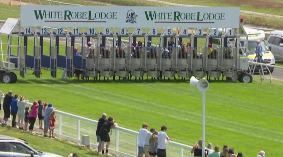 View video › View video ›