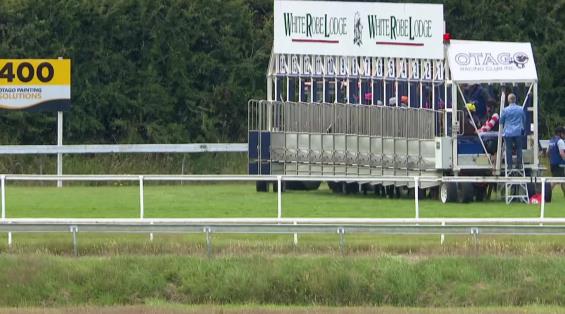 View video › View video ›