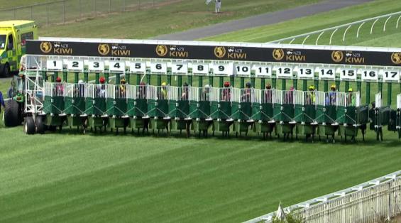 View video › View video ›