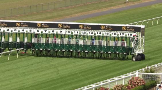 View video › View video ›