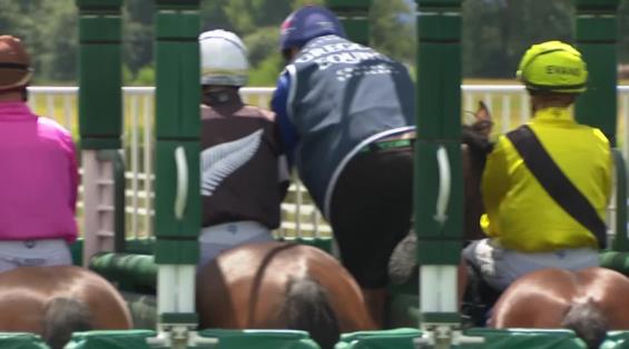 View video › View video ›