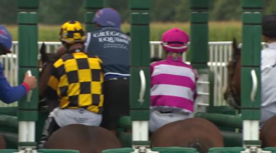 View video › View video ›