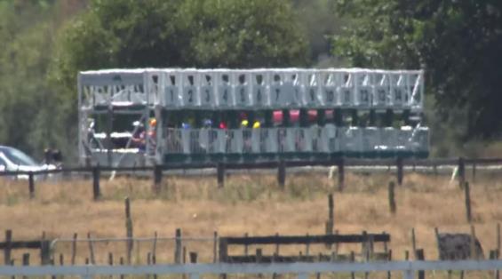 View video › View video ›