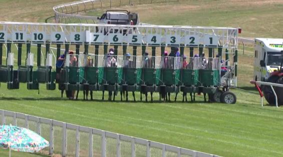 View video › View video ›