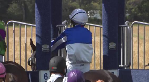 View video › View video ›