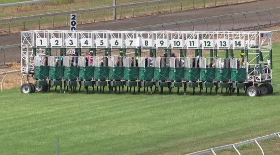 View video › View video ›