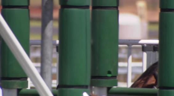 View video › View video ›