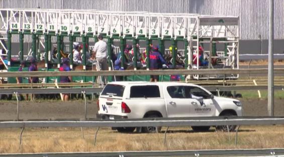 View video › View video ›