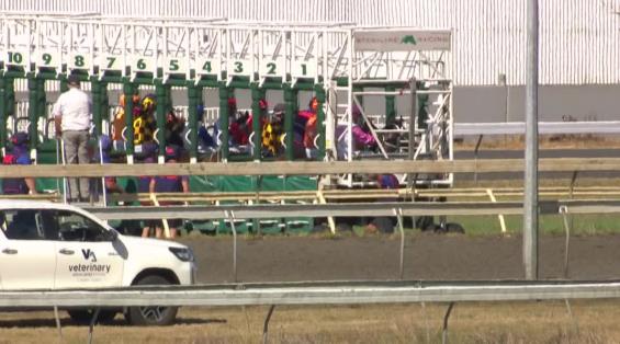 View video › View video ›