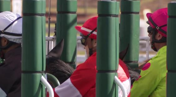 View video › View video ›