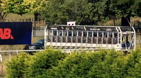 View video › View video ›