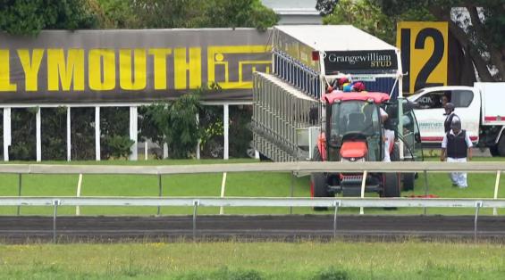 View video › View video ›