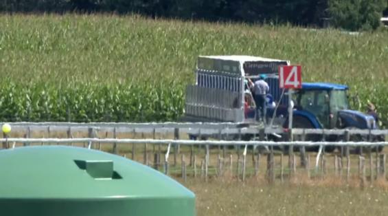 View video › View video ›