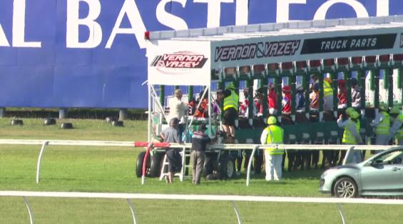 View video › View video ›