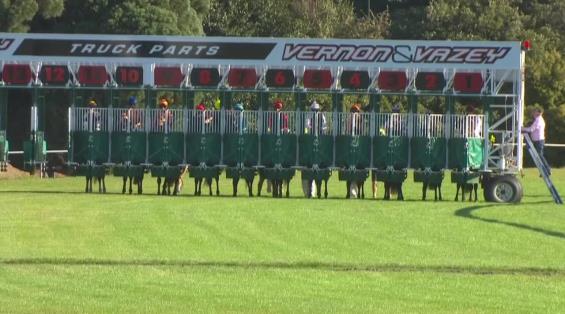 View video › View video ›