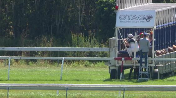 View video › View video ›