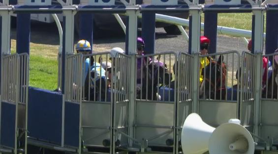 View video › View video ›