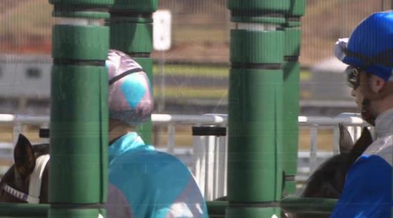 View video › View video ›