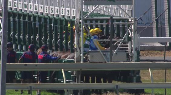 View video › View video ›