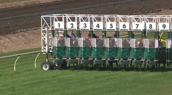 View video › View video ›