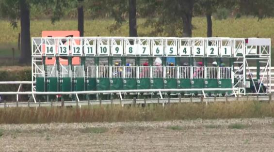 View video › View video ›