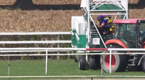 View video › View video ›