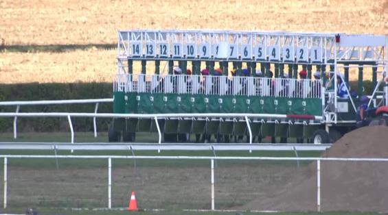 View video › View video ›