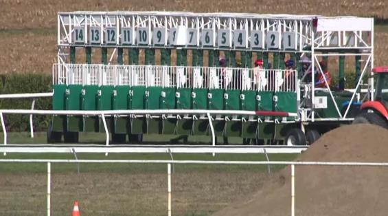 View video › View video ›