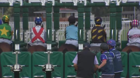 View video › View video ›