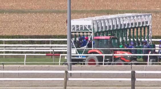 View video › View video ›